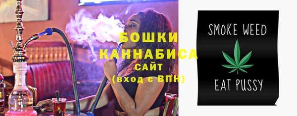 амф Инсар