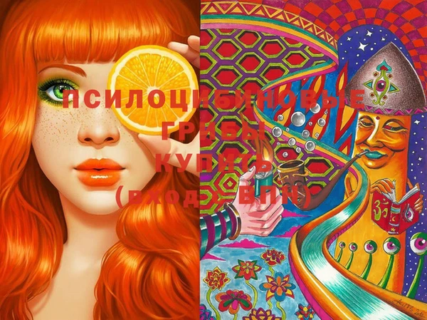 PSILOCYBIN Алексин