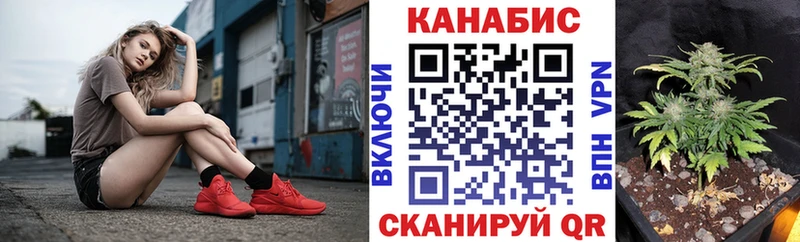 МАРИХУАНА семена  Буй 
